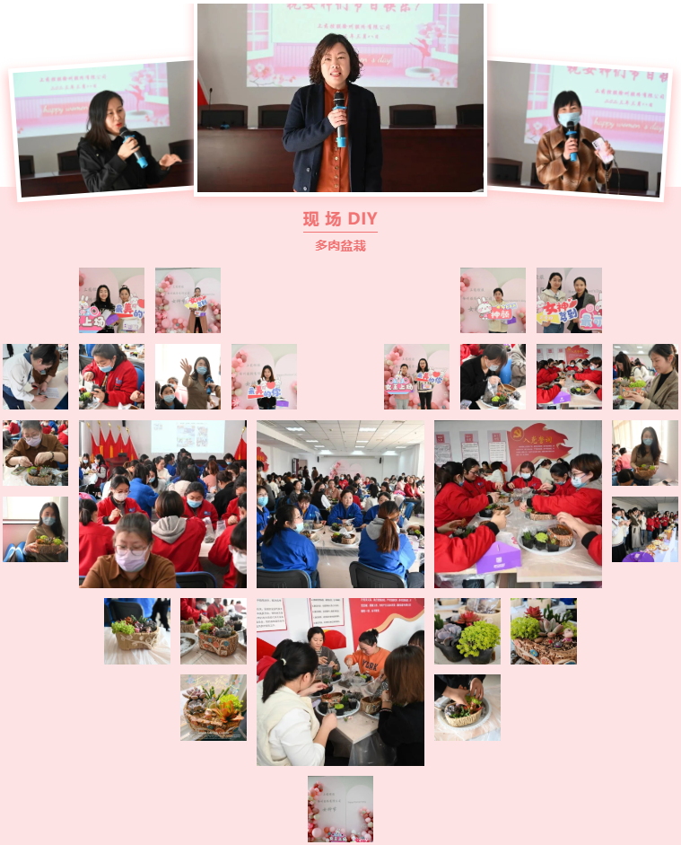 2025新澳原料免费资料2